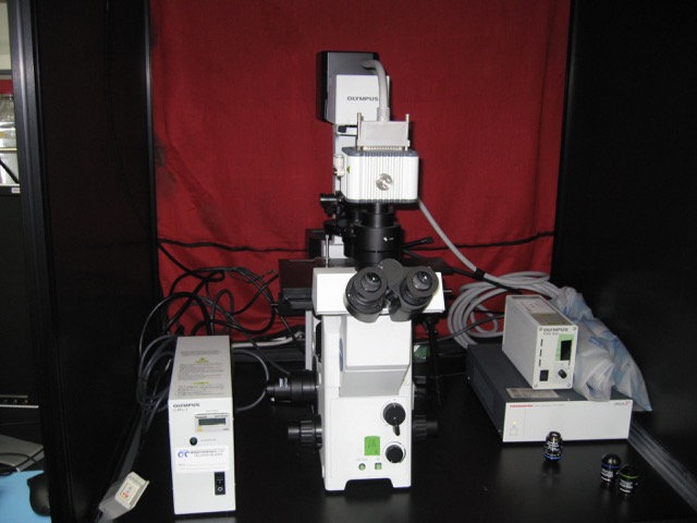 Fluorescence Microscopy IX71