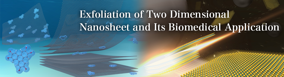 Exfoliation of Two Dimensional Nanosheet and Its Biomedical Application