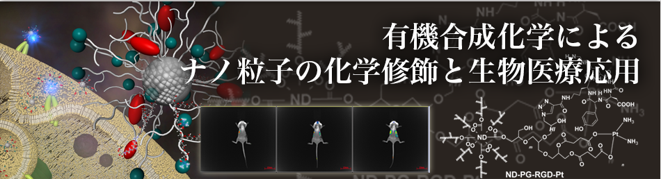 有機合成化学によるナノ粒子の科学修飾と生物医療応用