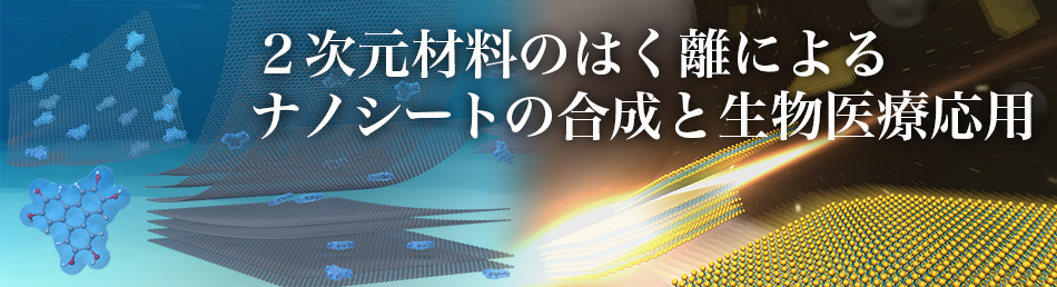 ２次元材料のはく離によるナノシートの合成と生物医療応用